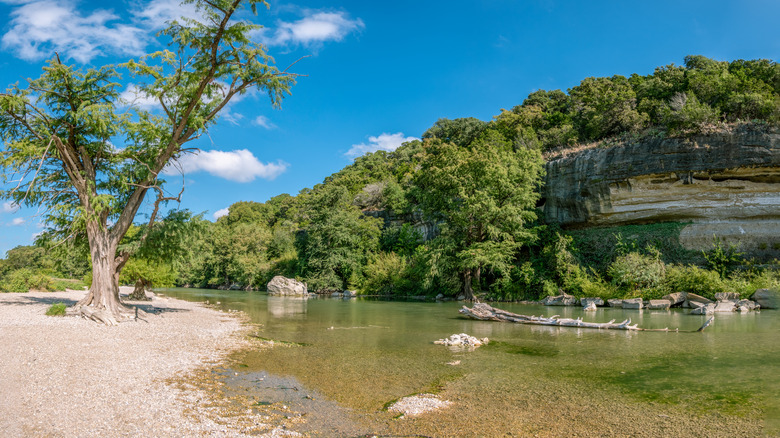 Trees, river, cliff, and beach