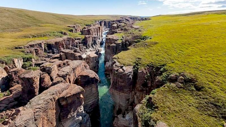 A river flowing through a deep gorge in Tuktut Nogait National Park.