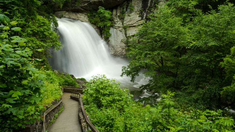 Large flow of water at Glass Rock Falls, Brevard
