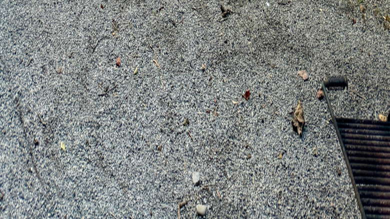 Davidson River Campground near Brevard