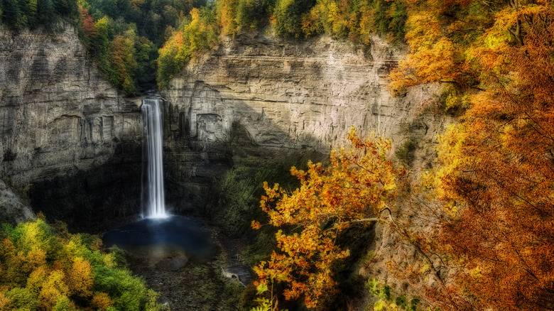 Taughannock Falls plunges into a gorge in Trumansburg, New York.