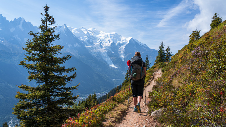 Hiker, Tour du Mont Blanc