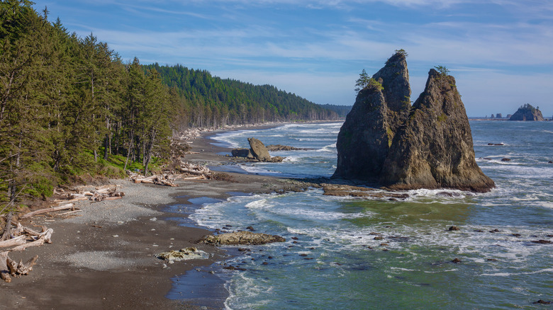 Washington's Rialto Beach Sea Stack