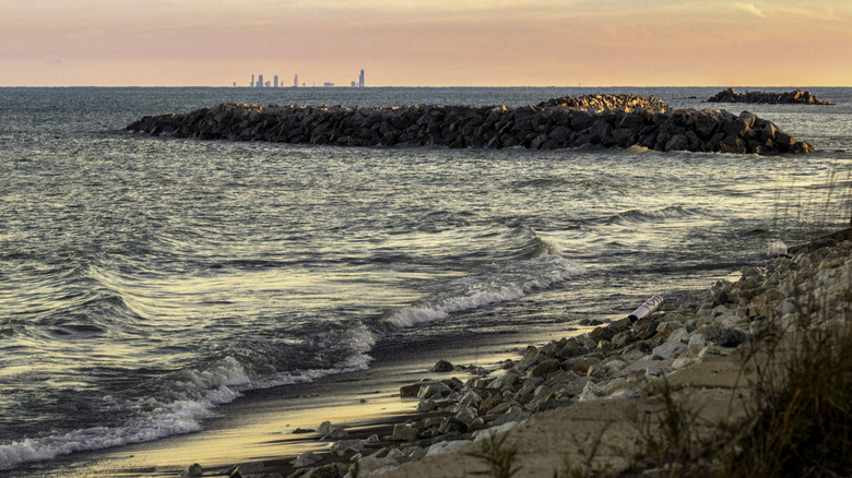 Chicago skyline from Illinois Beach State Park
