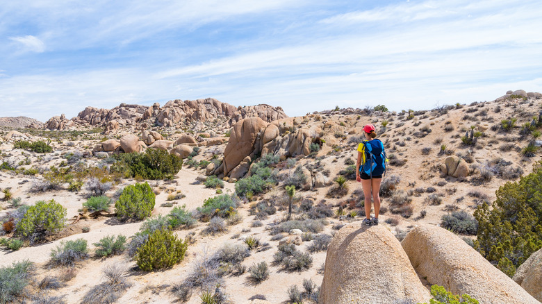 woman hiking in Joshua Tree