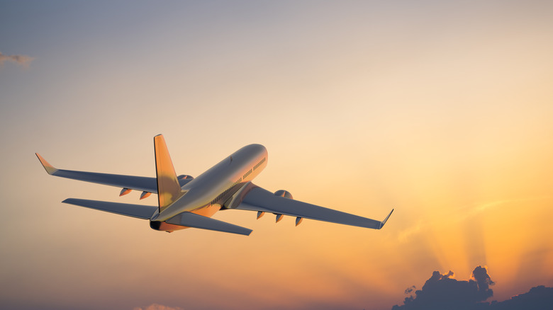 Airplane in flight 