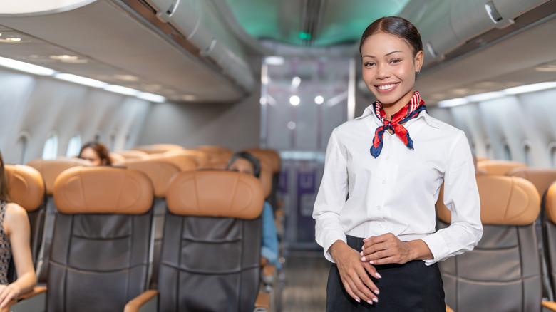 flight attendant on plane
