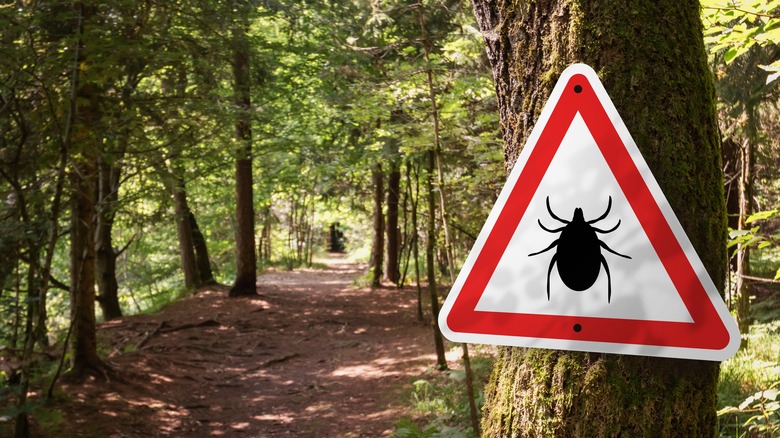 tick sign on camping trail
