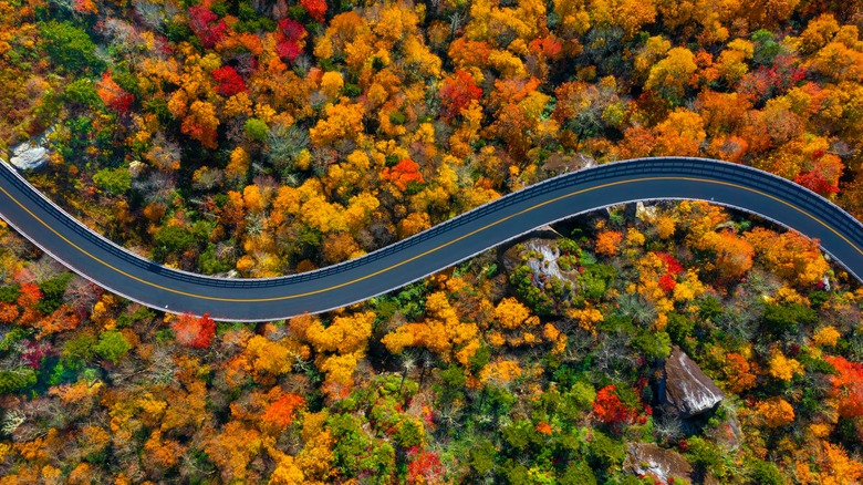 Blue Ridge Parkway in fall