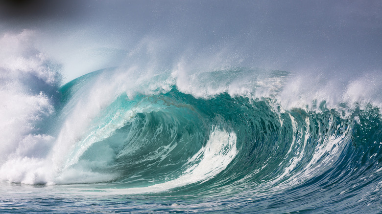 Big blue waves crashing in Hawaii