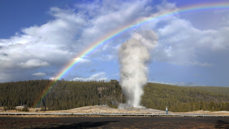 Yellowstone geyser with rainbow