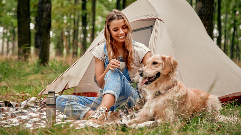 Smiling traveler camping with dog