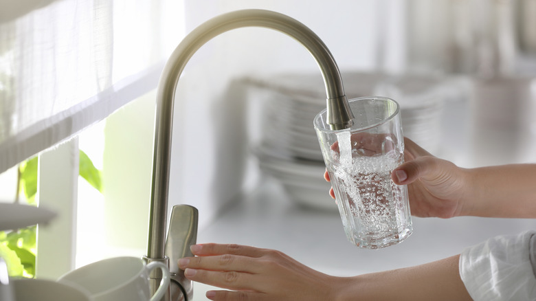 Pouring tap water into glass