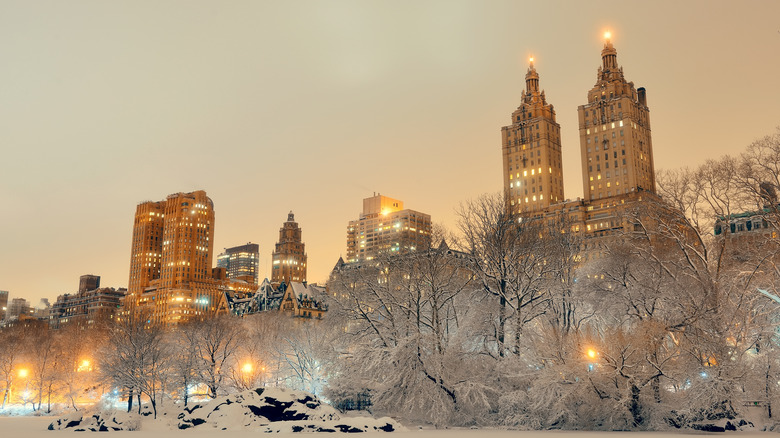 Snow-covered Central Park