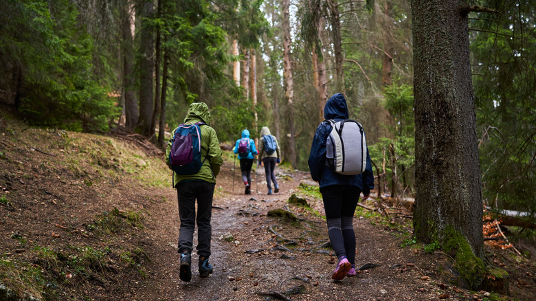 A group of hikers on a rainy day