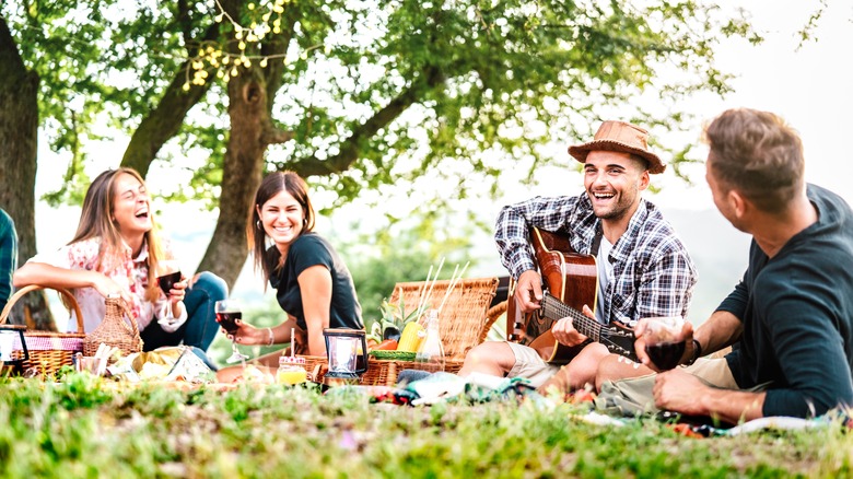 friends picnic at park