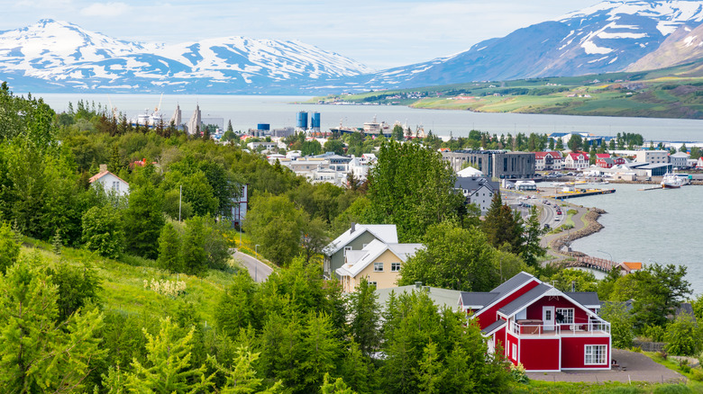 town on a bay with green trees and snowy mountains