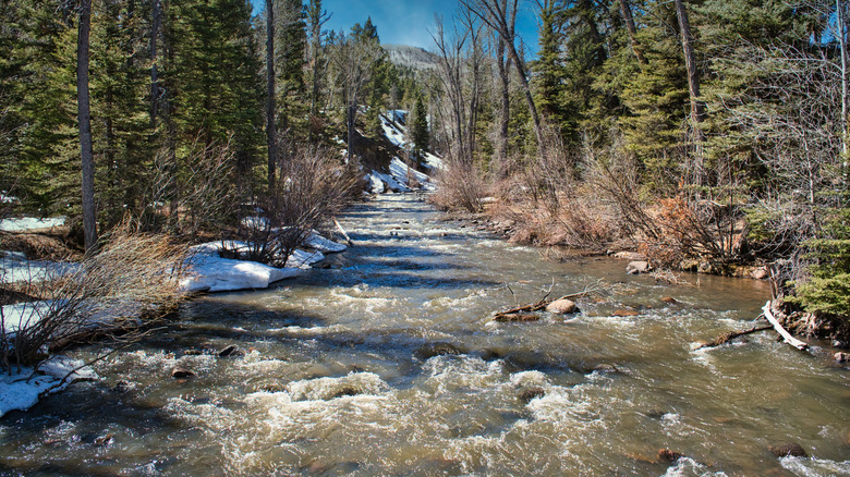 A view of the river flowing through Elk Creek Campground from on the bridge that spans the river