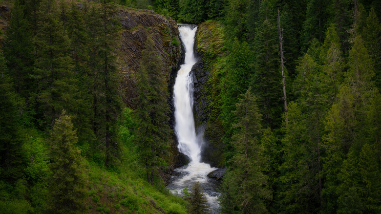 A lush green forest surrounding the majestic Elk Creek Falls, Idaho