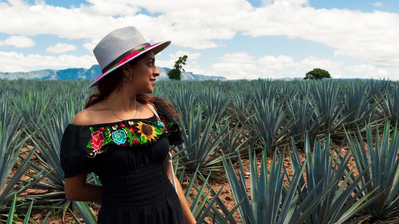 Woman posing in agave field