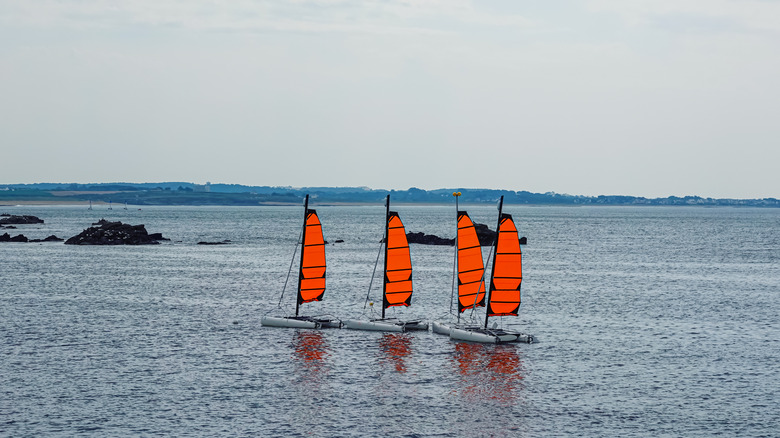 four sailboats in Brittany