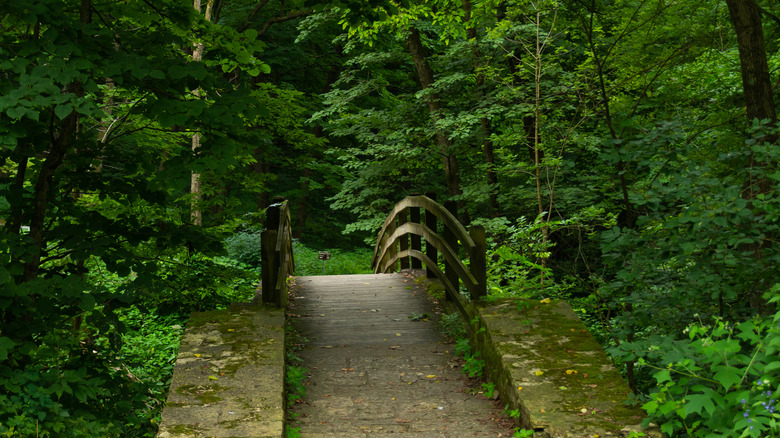 wooden bridge in the park at Mississippi Palisades State Park