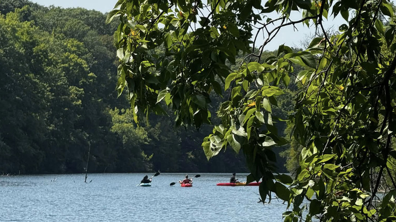Three kayakers paddle along a small lake in Kickapoo State Recreation Area in Illinois on a sunny summer day