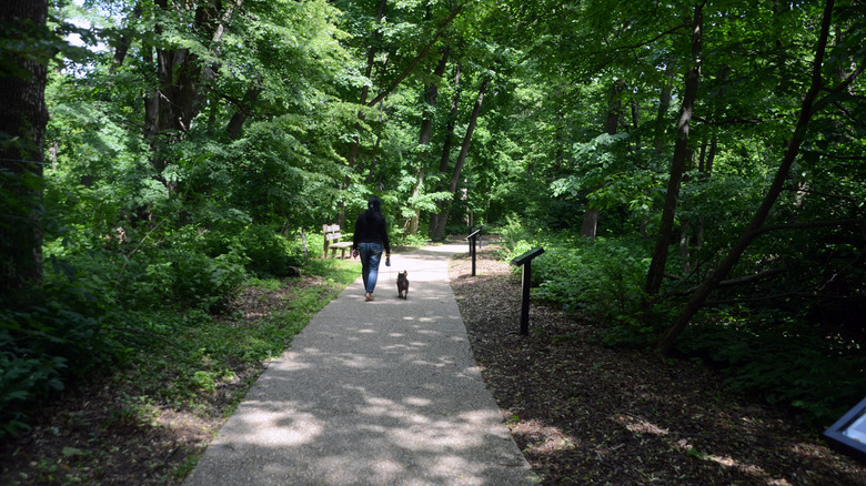 People walking at Lincoln Memorial Garden in Springfield, Illinois