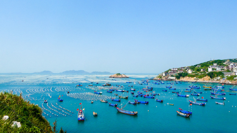 Fishing boats around Gouqi Island