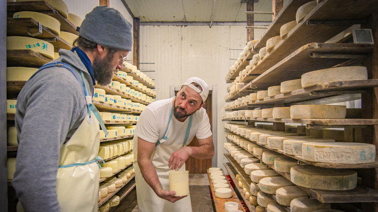 Two men talking in a cheese cave
