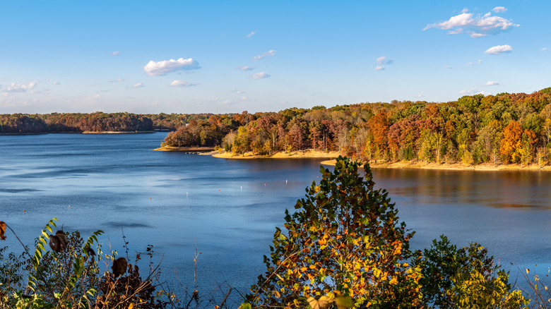 Fall foliage surrounding expansive Monroe Lake in Indiana.