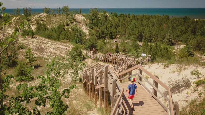 Child walking through Indiana Dunes National Park