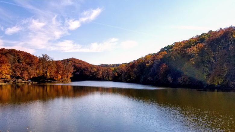 Fall foliage surrounds a lake