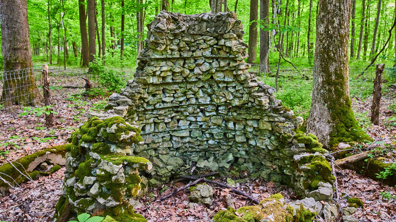 Ruined structure surrounded by leafy green forest