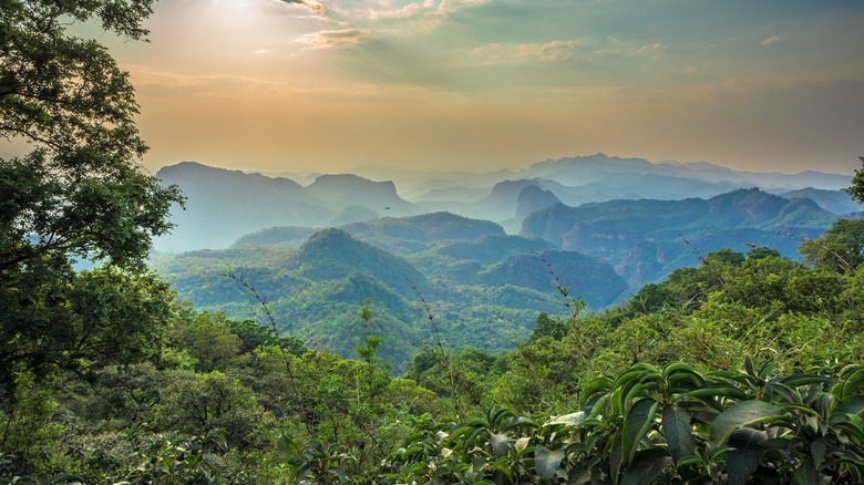 Satpura range at sunset