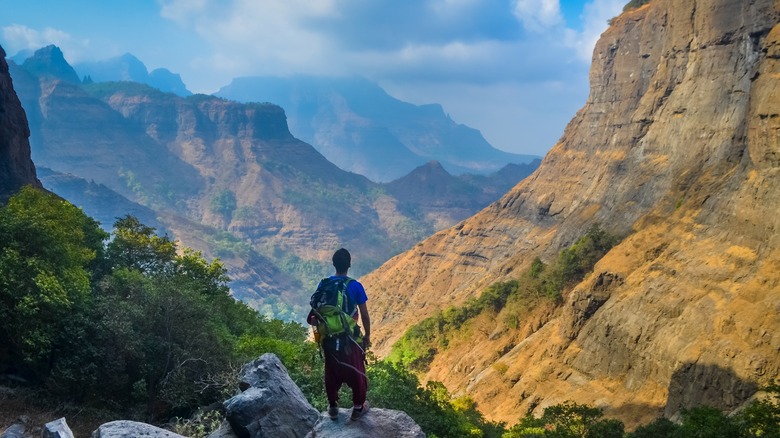 Man standing on rock looking out over Western Ghats