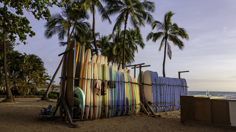 Surfboards on a Hawaiian beach