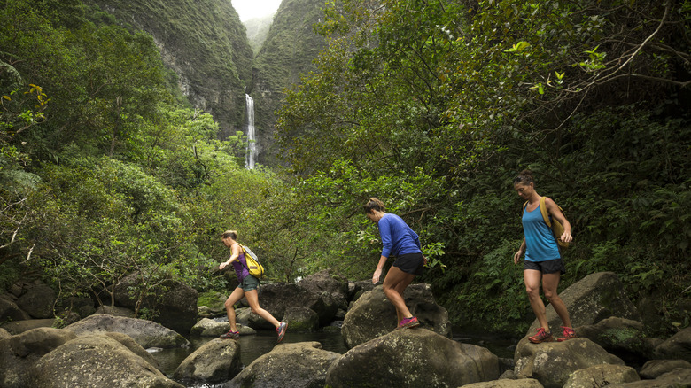 Three women hiking in a Hawaiian forest with a waterfall behind them