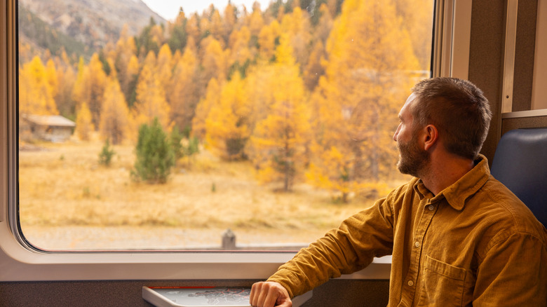 a man sitting on a train looking out the window at yellow leaved trees and mountains