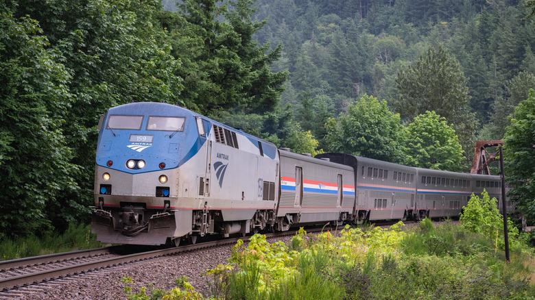 Amtrak train in forested area