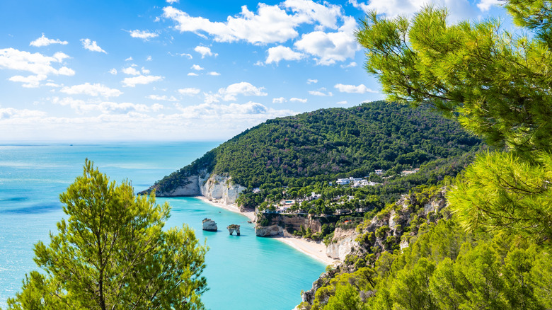 A view of Baia delle Zagare and the sea stacks from a nearby hill on a sunny day