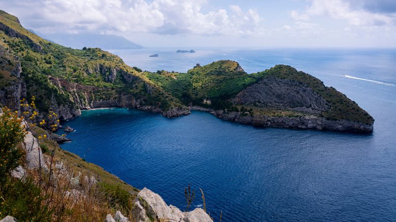 Marine Area of Punta Campanella on Capo di Sorrento, Italy