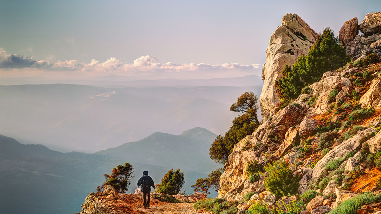 Man hiking on a dirt path on a mountainside