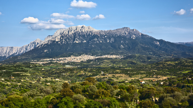 aerial view of Supramonte and the town of Oliena