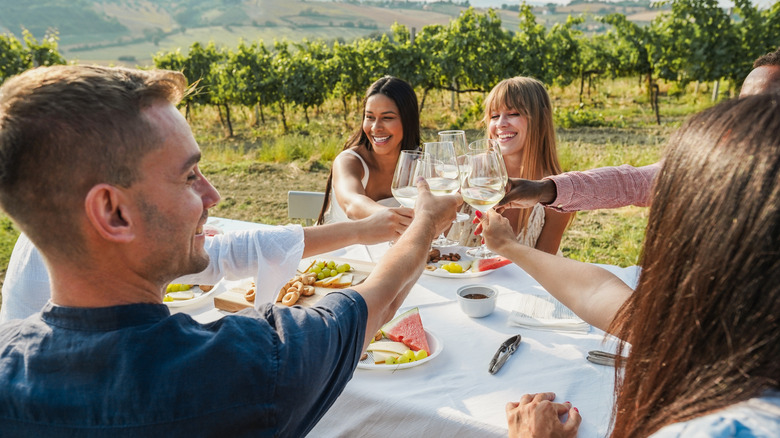A group of friends sitting at a table in a vineyard tapping wine glasses