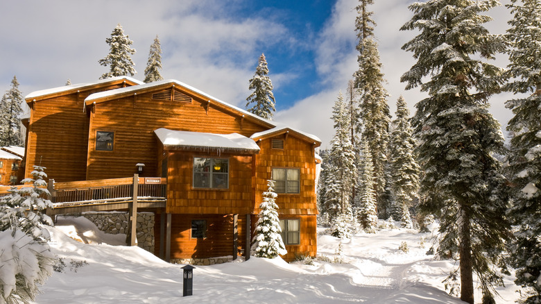 Cabin at Wuksachi Lodge
