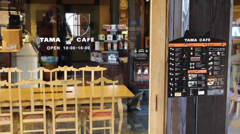 Tama Cat Cafe storefront in Japan