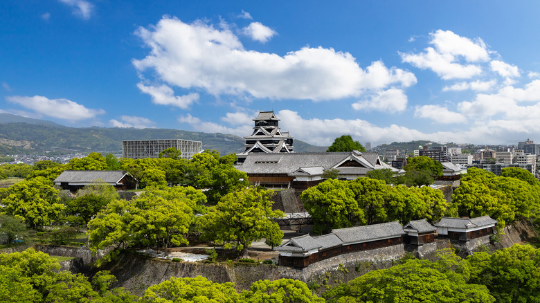 a Japanese castle peaking out through green trees