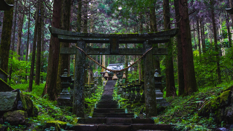 a Japanese shrine deep in the forest