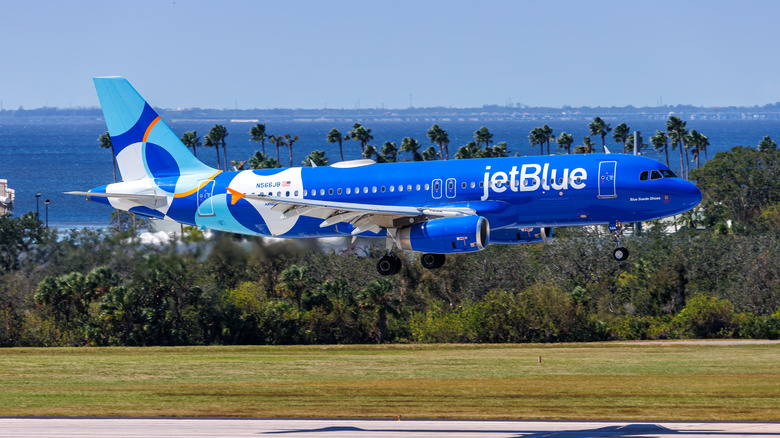 A Jetblue Airbus arriving at Tampa International Airport on a sunny day in Florida.